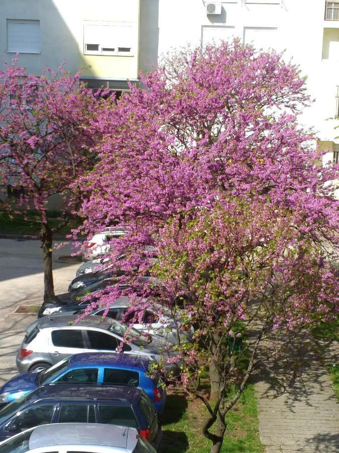 Apartman Simple Mostar Bagian luar foto